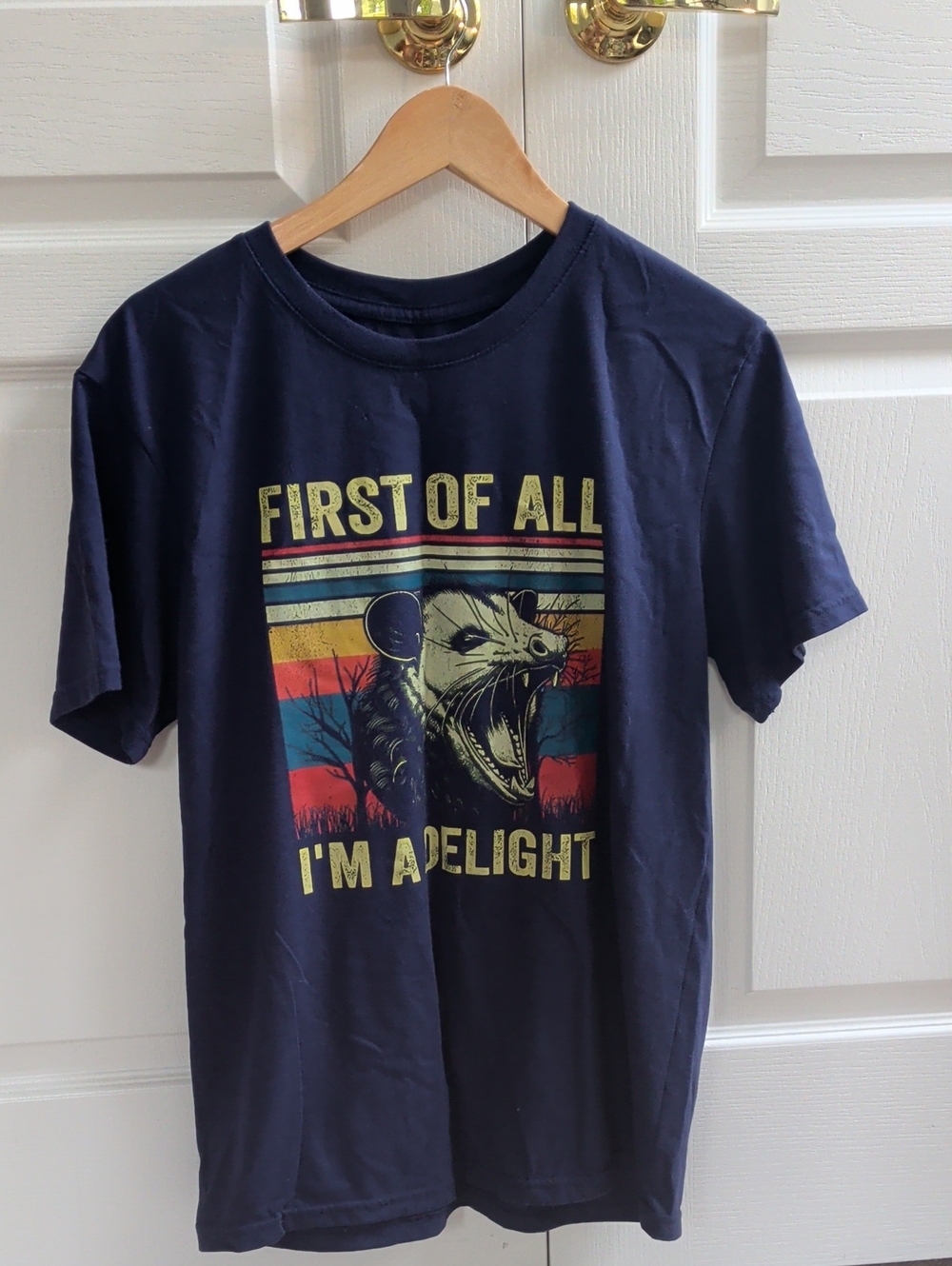 🗝️FREE Funny Possum T-shirt